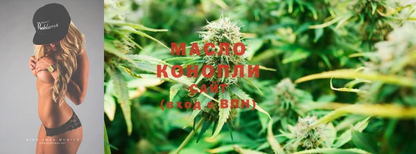 стаф Новозыбков