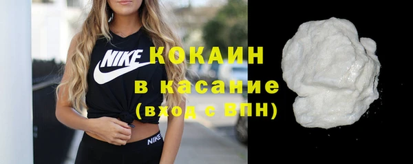 стаф Новозыбков