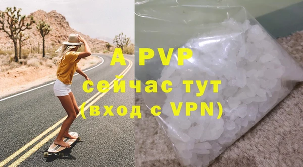 стаф Новозыбков