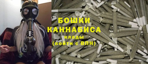 стаф Новозыбков