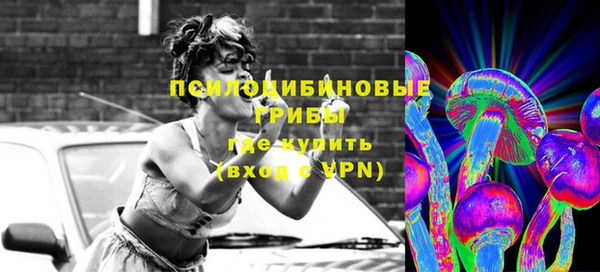 стаф Новозыбков