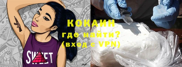 стаф Новозыбков