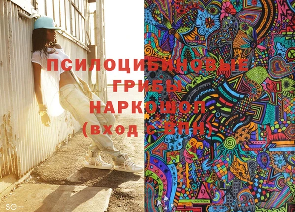 стаф Новозыбков